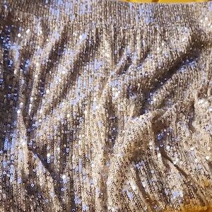 Sequin skirt